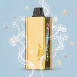 Schweiz Großhandel JNR Cruiser 12000 Züge 3500mAh 25ml 5% Nikotin Ohne Laden