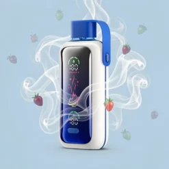 Schweiz Großhandel VOZOL Star 20000 Züge 26ml 650mAh Mesh Coil Type-C Fruchtmix