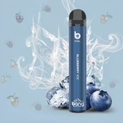 Schweiz Großhandel Bang Vape Disposable 2000 Züge Blaubeer-Eis 6ml 800mAh