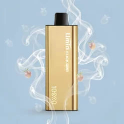 Schweiz Großhandel Umin Slick Plus 10000 Züge MTL 2700mAh